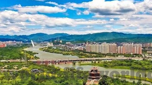 刘足球比分直播-探秘刘足球比分直播，一场足球盛宴的实时守护者