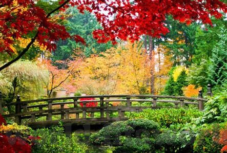 足球比分完赛网-足球比分完赛网，球迷的实时数据乐园与深度分析宝库